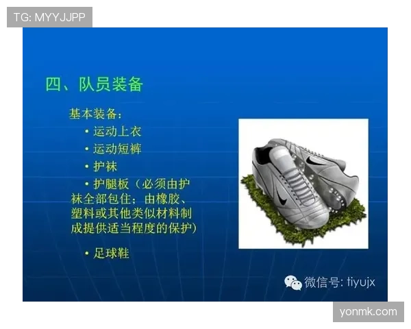 足球判罚标准详解：关键判罚原则与裁判执行细节解析